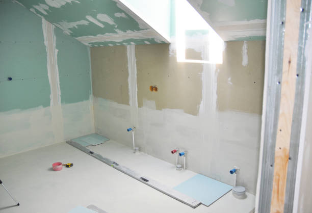 Best Biohazard Mold Removal  in Casselton, ND