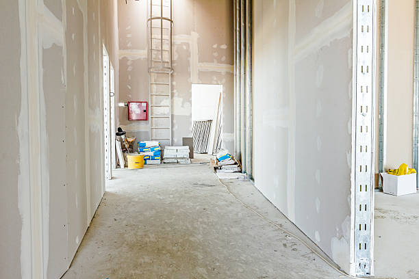 Best Mold Remediation for Healthcare Facilities  in Casselton, ND