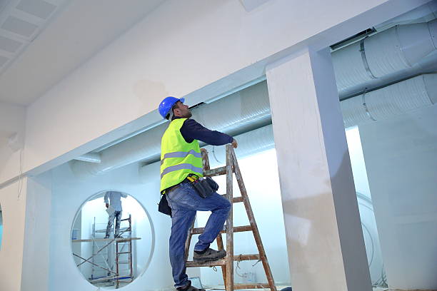 Best Asbestos and Lead Testing During Mold Inspection  in Casselton, ND