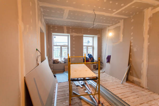 Best Mold Damage Restoration  in Casselton, ND
